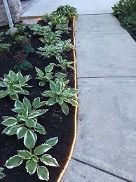Landscape edging supplies a crisp edge between different areas of your yard. 40 Stylish And Inspiring Garden Edging Ideas Digsdigs