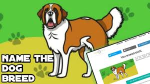 Describe your perfect job and we'll guess what dog breed you should adopt. Name The Dog Breed Quiz Answers Youtube