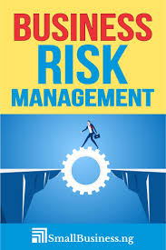 Pin On Risk Management