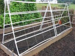 So i got on tom. How To Build A Pvc Trellis How Tos Diy