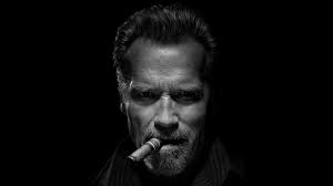 Shop all the top patterns from schumacher wallpaper at discounted prices w/free shipping. Arnold Schwarzenegger Hd Wallpaper Hintergrund 1920x1080