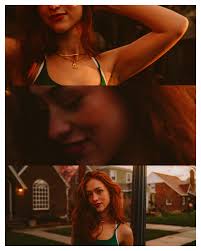 Exploring Photography: Tips for Beginners and Hobbyists