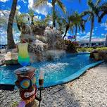 Nauti Parrot Oasis, Fort Myers, FL — Brian Turner