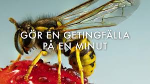 Learn more about our ambition, goals and progress in the sustainability update 2020. Stora Getingar 2014