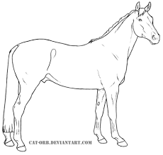 Auf supercoloring gibt es sage und schreibe 136. Danisches Warmblut Ausmalbilder Kostenlos Zum Ausdrucken