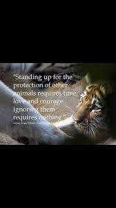 Pin By Allyssa Sanchez On Against Animal Cruelty Animal Quotes Save Animals Animal Rights