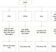 Purification of biogas for methane enrichment using biomass ...