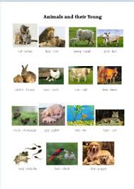 Name Of Animals And Their Young Free Printable Baby Animal Names Young Ones Of Animals Pet Names