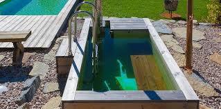 Schwimmteich Warmebecken Schwimmteich Natur Pool Pool