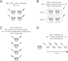 Check spelling or type a new query. Plos Biology What Exactly Is N In Cell Culture And Animal Experiments
