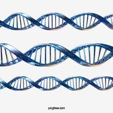 Glossy Blue Dna Helix Structure 3d Element Dna Blue Sequence Png Transparent Clipart Image And Psd File For Free Download Dna Helix Dna Helix