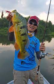 Save novotel taiping perak to your lists. Spinnerbait Strategies For Peacock Bass Air Kuning Chenderoh Lake Perak Malaysia Thebbz Com The Big Bass Zone Thebbztv How To Catch Monster Bass Other Fish Fishing