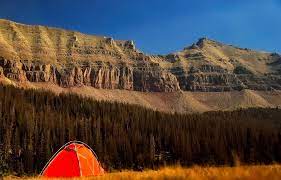16 Drive Up Campsites Any Backpacker Would Love Eureka