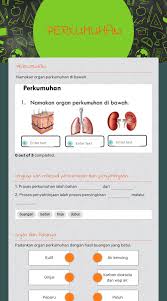Gangguan dan penyakit sistem perkumuhan ginjal. Perkumuhan Interactive Worksheet By Rosnah Md Salleh Wizer Me