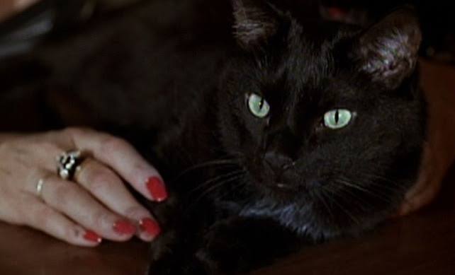Due occhi diabolici (1990) - Cinema Cats