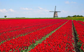 Ολλανδία είναι το ευρωπαϊκό τμήμα του βασιλείου των κάτω χωρών (ολλανδικά: Ollandia Prosfores Gia Diakopes Manessis Travel