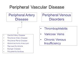 peripheral vascular disease ppt video online download