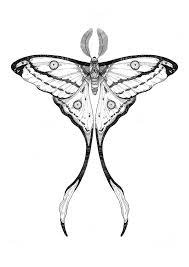 Pin By Chloe Stoykov On Tetko Moth Tattoo Palm Tattoos Tattoo Designs