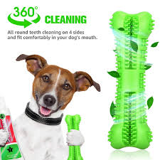 Buy nobby squeaky dog toys and get the best deals at the lowest prices on ebay! Chlebem Dog Toothbrush Chew Toy Stick With Toothpaste Reservoir Natural Rubber Dog Dental Chews Care Dog Toys Bone F Dog Toothbrush Dog Dental Chews Chew Toy