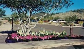 We did not find results for: Flowering Annuals When To And When Not To Plant