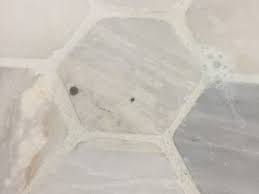 We did not find results for: Black Spots On Newly Installed Marble Floor