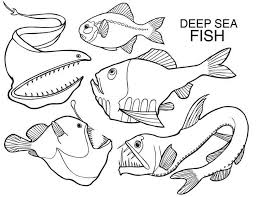 There is a huge large increase in color publications designed for adults within the last 6 or 7 years. Sea Creature Templates Mermaid Coloring Pages Dolphin Coloring Pages Sea Creatures Art