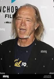 Tracey walter hi-res stock photography and images