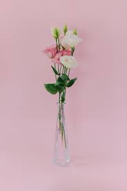 Image result for eustoma lisianthus in vase