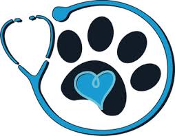 Home Veterinarian In Fort Walton Beach Fl Companion Animal Hospital And Boarding Center