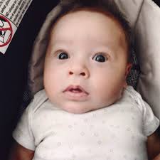 THE BEST 10 PROFESSIONAL SPORTS TEAMS in WALNUT CREEK, CA