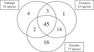 Image result for Landolphia bruneelii