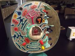 Maybe you would like to learn more about one of these? Biology 109 Lab Review For Practicum 1 All Pictures