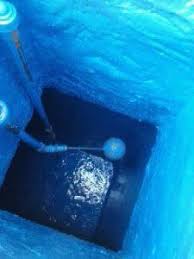 الرياض fish pet four square city