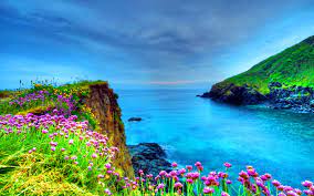 We hope you enjoy our rising collection of beautiful girls wallpaper. Flowers On The Coastline Hd Wallpaper Background Image 1920x1200