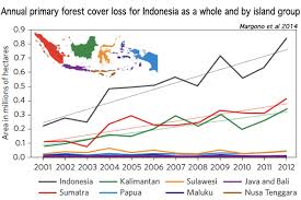 Forests cover about 30 percent of the planet's land mass, but humans are cutting them down, clearing these essential habitats on a massive scale. Despite Moratorium Indonesia Now Has World S Highest Deforestation Rate