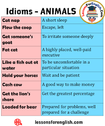 Pin On Idioms In English