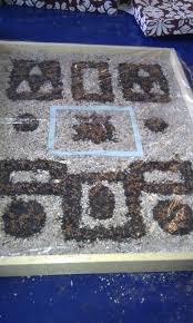 My Mini Tudor Knot Garden For My Old Year 5 Tudor Project British History Tudor Crafts