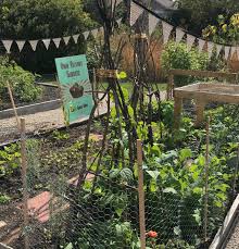 Repurposed bed support raised bed. Gardening Raised Beds Yield Variety Of Benefits