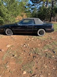 Image result for Medium Driftwood 1993 Chrysler