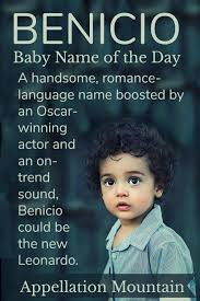 Benicio Baby Name Of The Day Appellation Mountain Baby Names Names Female Character Names