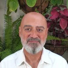 Pares de plantes, la tendència entre els Z i els Y