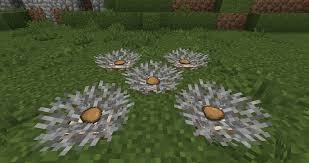 chicken nest with egg dead coral and item frame with eggs in 2020 minecraft blueprints minecraft designs minecraft construction chicken nest with egg dead coral and