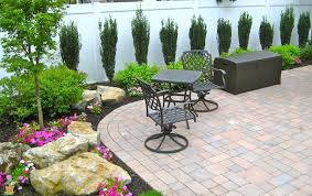 Sky Pencil Holly Sky Pencil Holly Backyard Landscaping Privacy Trees