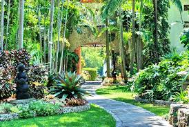 The Kampong Botanical Garden Florida Botanical Gardens Florida Gardening Fairchild Tropical Botanic Garden