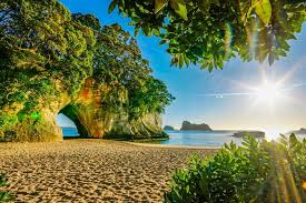 The cost of living in new zealand. Healthcare For Expats In New Zealand Do You Need Health Insurance