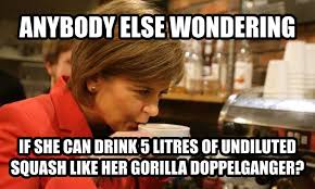 Nicola sturgeon pulled out of a conference because steve bannon was invited, and people are praising her. Anti Snp Memes On Twitter I Wonder If Nicola Sturgeon Is Up For A Challenge