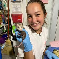 THIS COULD BE YOU! Are you looking for a fun, hands-on, intensive and  interactive experience working with a wide range of animal species? Are you  a student wondering what you should do