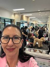 All our beautiful animals currently available for adoption.