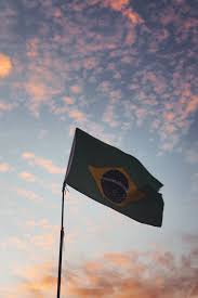 Download, share or upload your own one! 5 000 Best Brazilian Flag Photos 100 Free Download Pexels Stock Photos