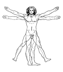Lady with an ermine by leonardo da vinci coloring page | free printable coloring pages. Vitruvian Man Leonardo Da Vinci Kids Coloring Pages